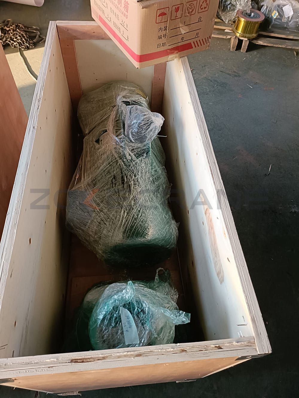Paranco elettrico esportato nell'imballaggio dell'Oman